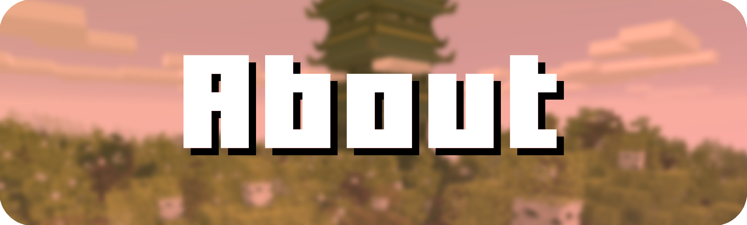 About Banner